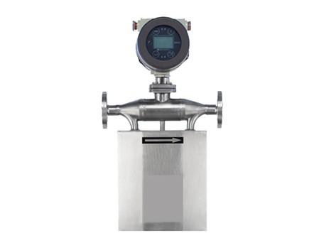 Mass Flow Meter